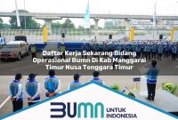 daftar kerja sekarang bidang operasional bumn di kab manggarai timur nusa tenggara timur 1753273218