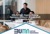 dibutuhkan segera bidang operasional bumn di kab aceh tenggara aceh 1753173156