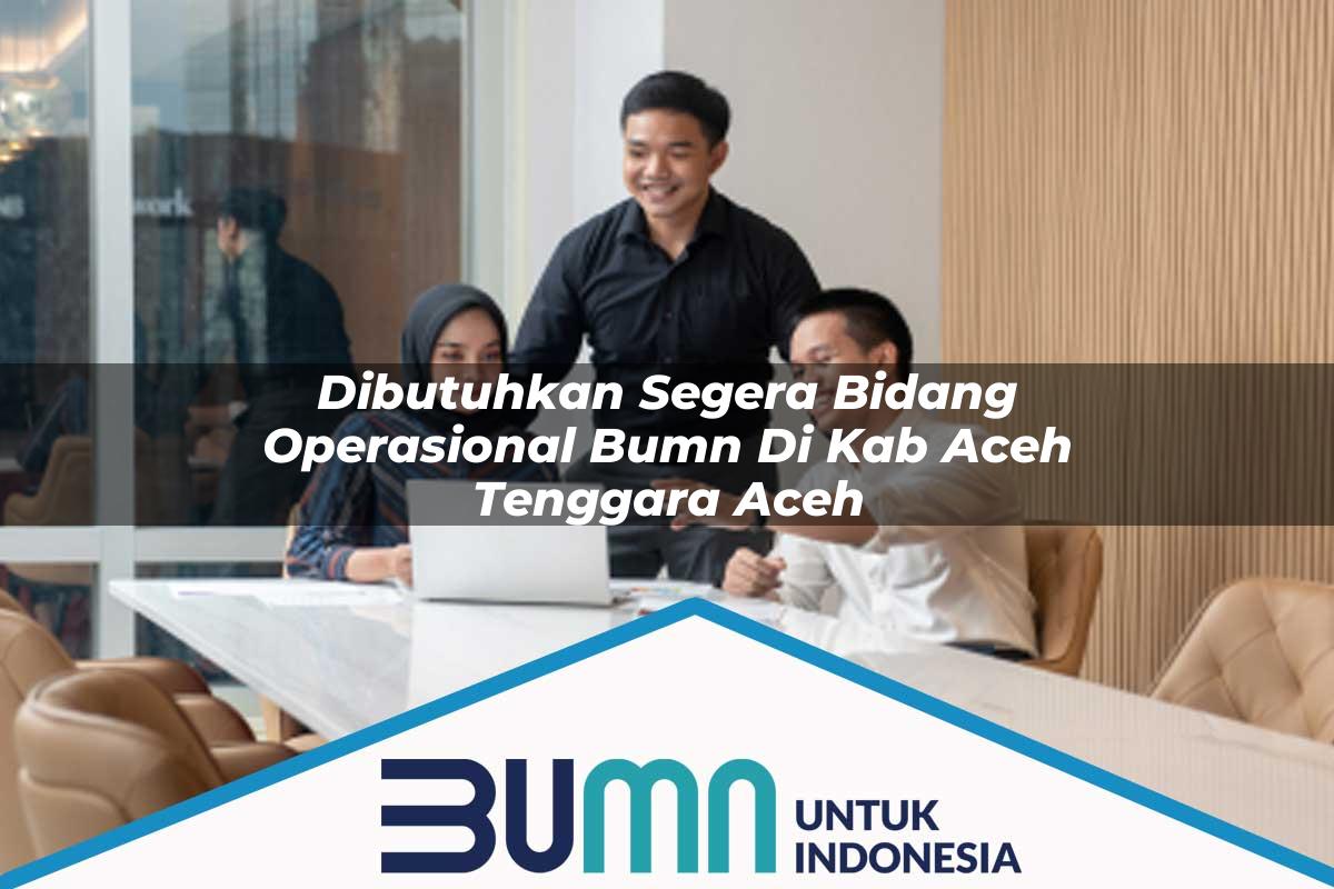 Dibutuhkan Segera Bidang Operasional BUMN di Kab. Aceh Tenggara, Aceh Tahun 2025