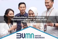 dibutuhkan segera bidang operasional bumn di kab aceh timur aceh 1753184252