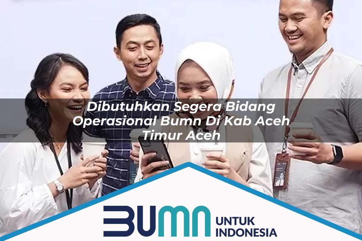 Dibutuhkan Segera Bidang Operasional BUMN di Kab. Aceh Timur, Aceh Tahun 2025