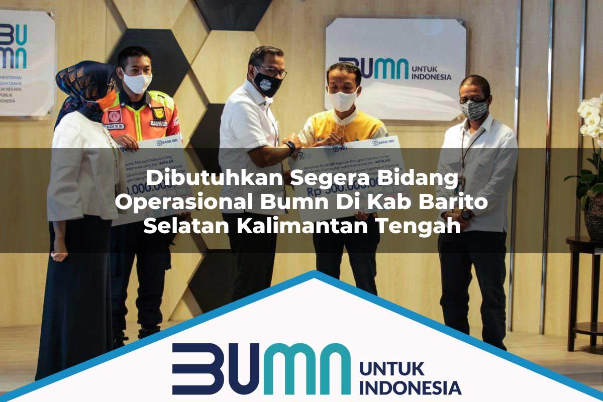 Dibutuhkan Segera Bidang Operasional BUMN di Kab. Barito Selatan, Kalimantan Tengah Tahun 2025