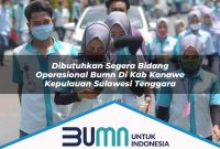 dibutuhkan segera bidang operasional bumn di kab konawe kepulauan sulawesi tenggara 1753175411