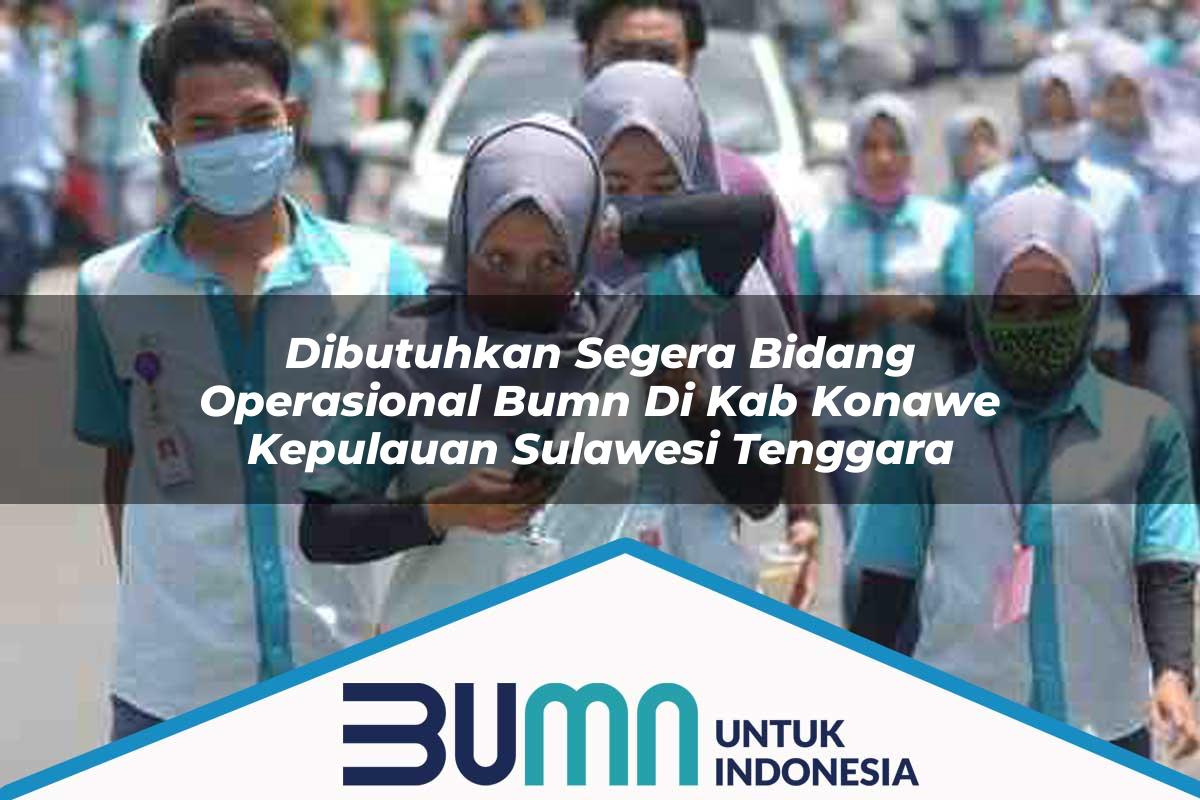 Dibutuhkan Segera Bidang Operasional BUMN di Kab. Konawe Kepulauan, Sulawesi Tenggara Tahun 2025