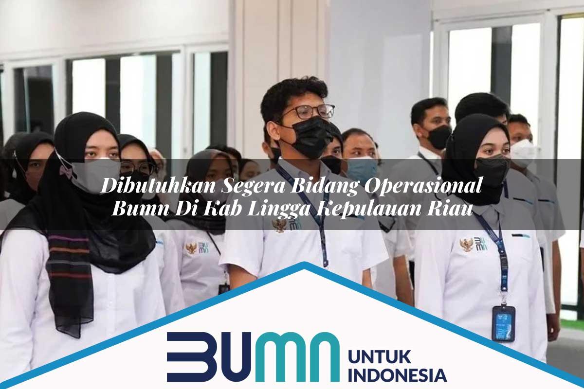 Dibutuhkan Segera Bidang Operasional BUMN di Kab. Lingga, Kepulauan Riau Tahun 2025