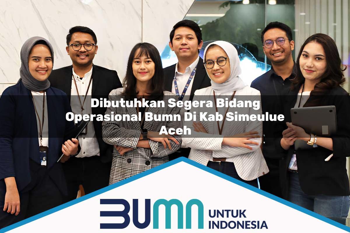 Dibutuhkan Segera Bidang Operasional BUMN di Kab. Simeulue, Aceh Tahun 2025