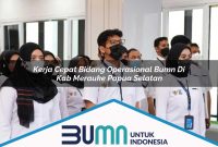 kerja cepat bidang operasional bumn di kab merauke papua selatan 1753270709