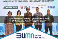 kerja hari ini bidang operasional bumn di kab ende nusa tenggara timur 1753265699
