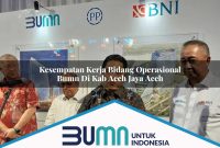 kesempatan kerja bidang operasional bumn di kab aceh jaya aceh 1753270922