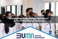 kesempatan kerja bidang operasional bumn di kab mesuji lampung 1753181805