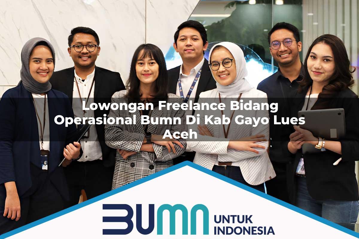 Lowongan Freelance Bidang Operasional BUMN di Kab. Gayo Lues, Aceh Tahun 2025