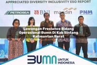 lowongan freelance bidang operasional bumn di kab sintang kalimantan barat 1753174887