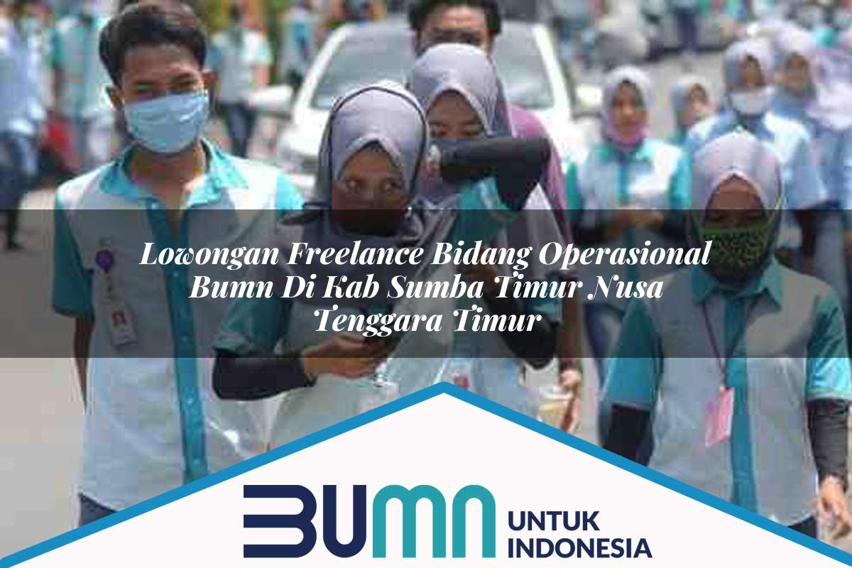 Lowongan Freelance Bidang Operasional BUMN di Kab. Sumba Timur, Nusa Tenggara Timur Tahun 2025