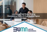 lowongan gaji besar bidang operasional bumn di kab nabire papua tengah 1753263861