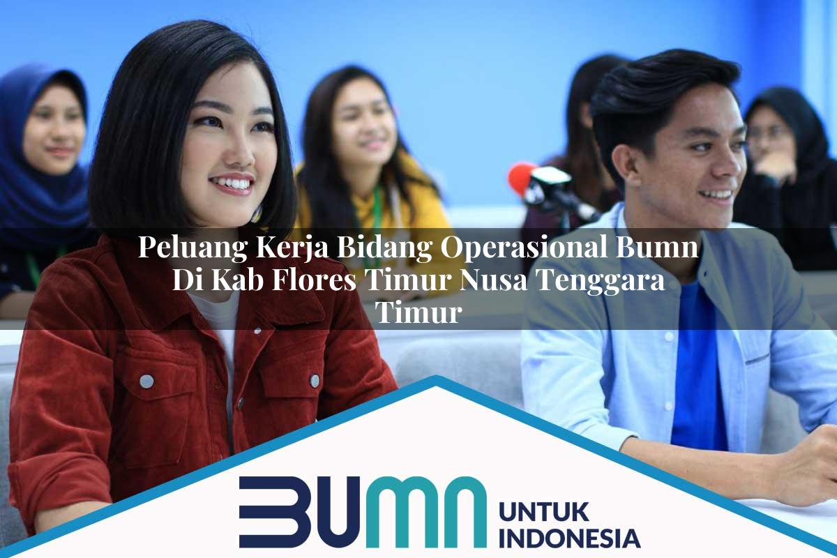 Peluang Kerja Bidang Operasional BUMN di Kab. Flores Timur, Nusa Tenggara Timur Tahun 2025