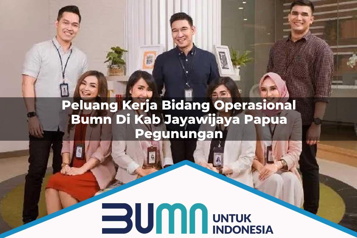 Peluang Kerja Bidang Operasional BUMN di Kab. Jayawijaya, Papua Pegunungan Tahun 2025