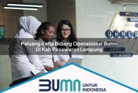 peluang kerja bidang operasional bumn di kab pesawaran lampung 1753189550