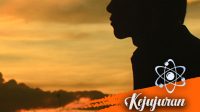 Tidak jujur sulit diperbaiki