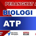 ATP Biologi Kelas 12