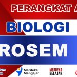 PROSEM Biologi Kelas 12