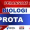 PROTA Biologi Kelas 11