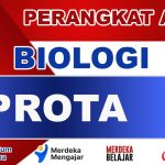 PROTA Biologi Kelas 12