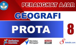 PROTA Geografi Kelas 8